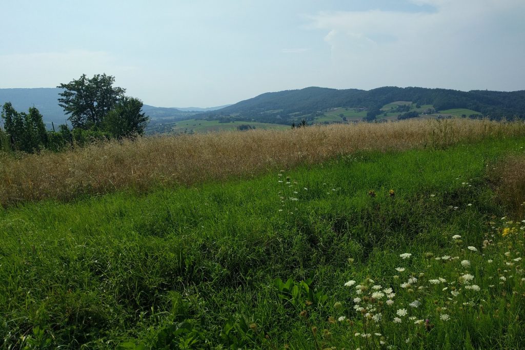 beskid-wyspowy-wedrowka