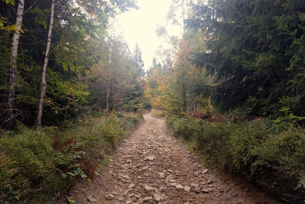 Jesienna droga z przełęczy Glisne na Szczebel