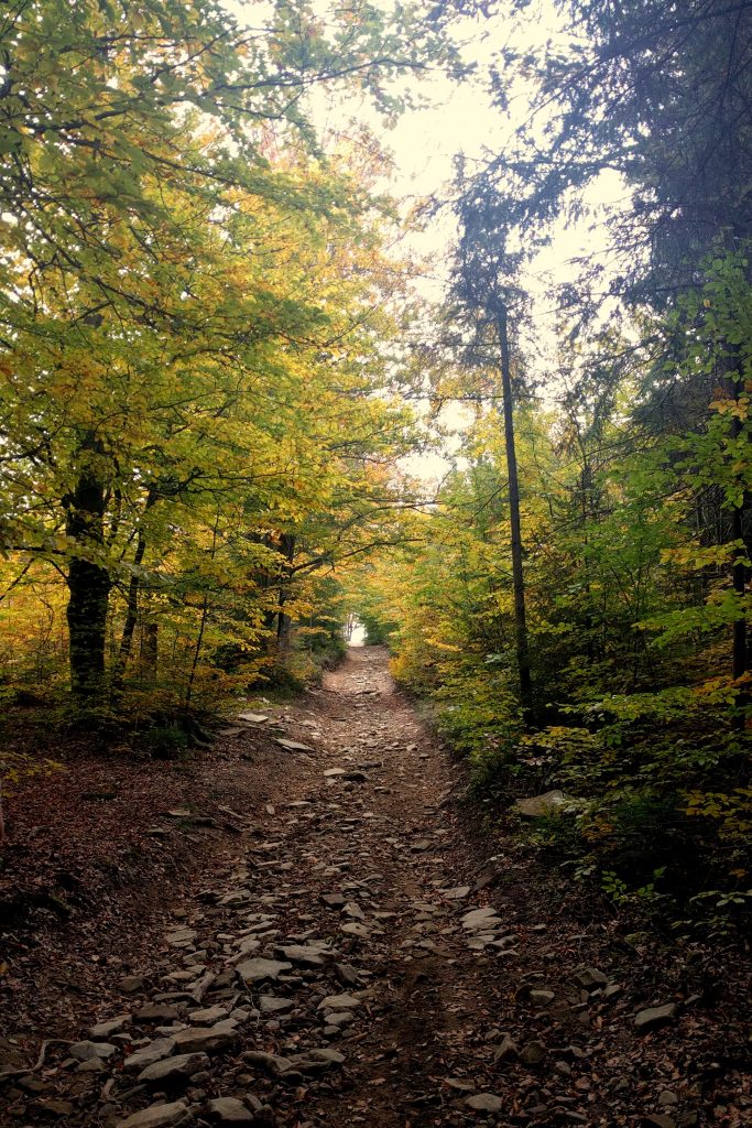 Jesienna droga z przełęczy Glisne na Szczebel
