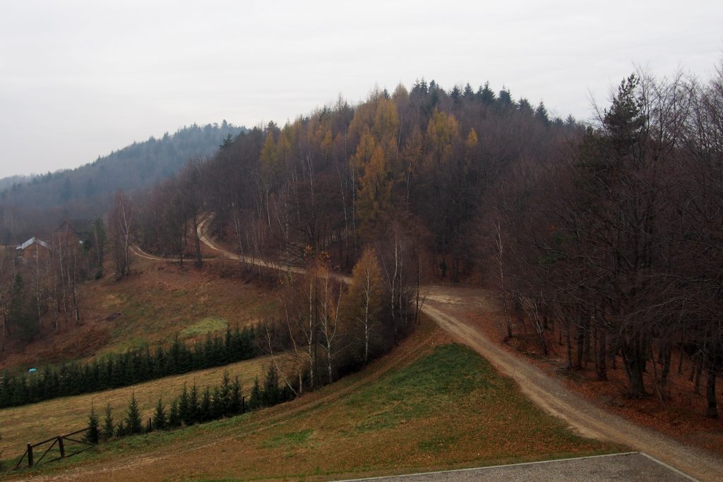 Szczyt Brzanki widziany z wieży