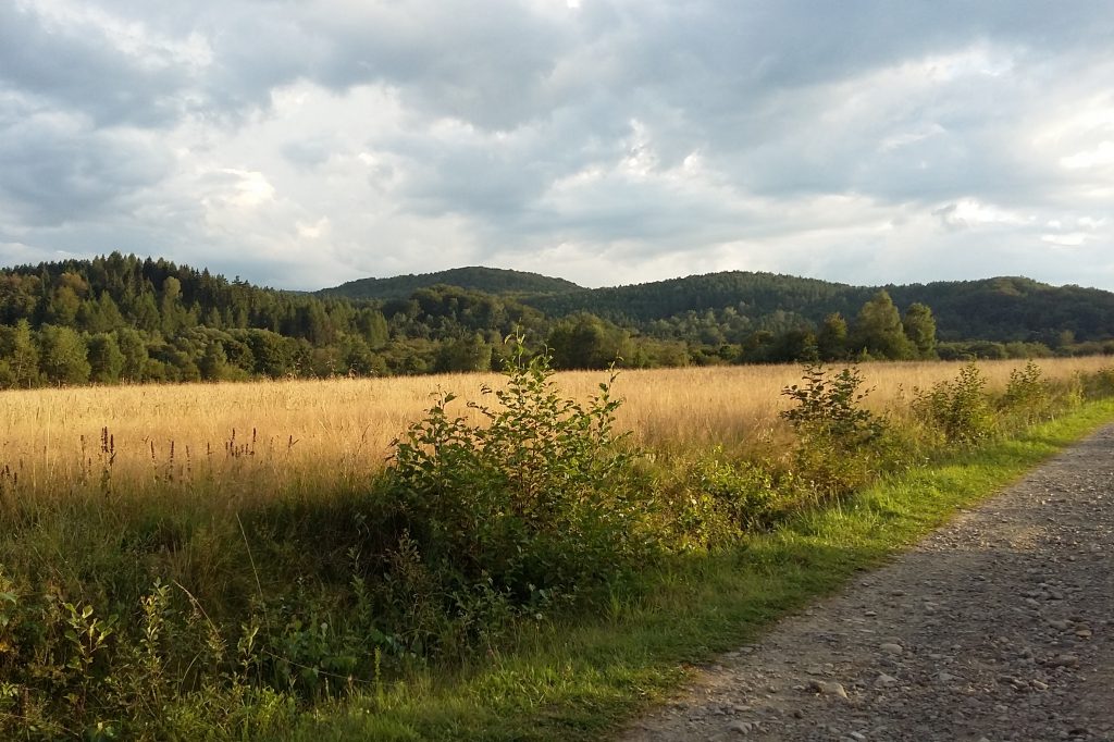 Wysowa. Cisza przed burzą.