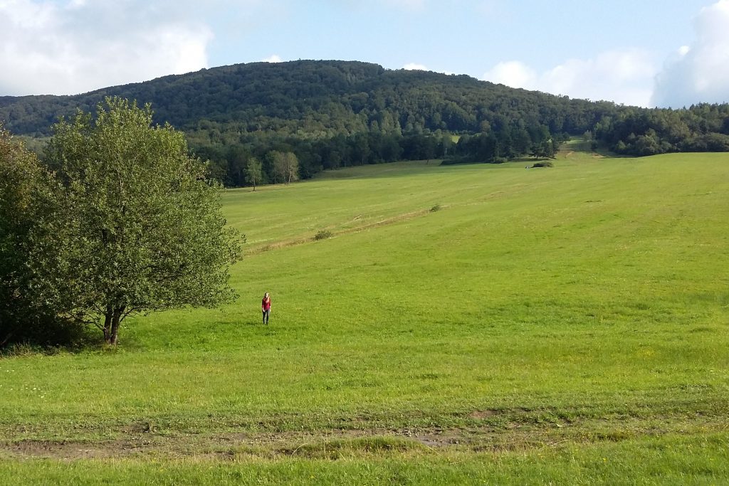 Polana pod Cegiełką, Busovem i Lackową