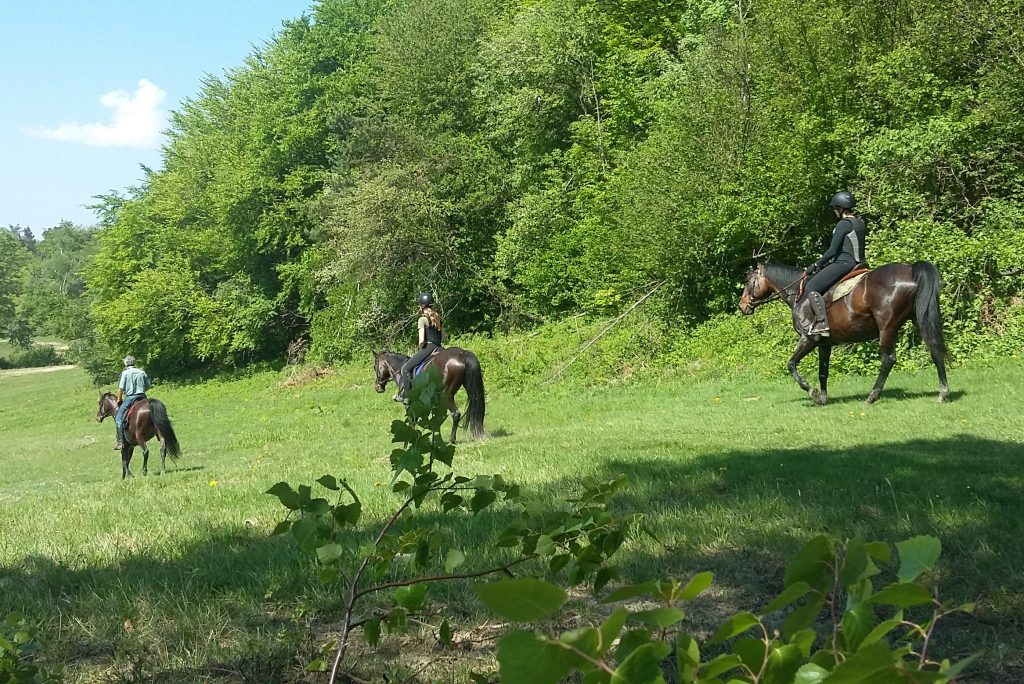 Konni turyści w Beskidzie Niskim