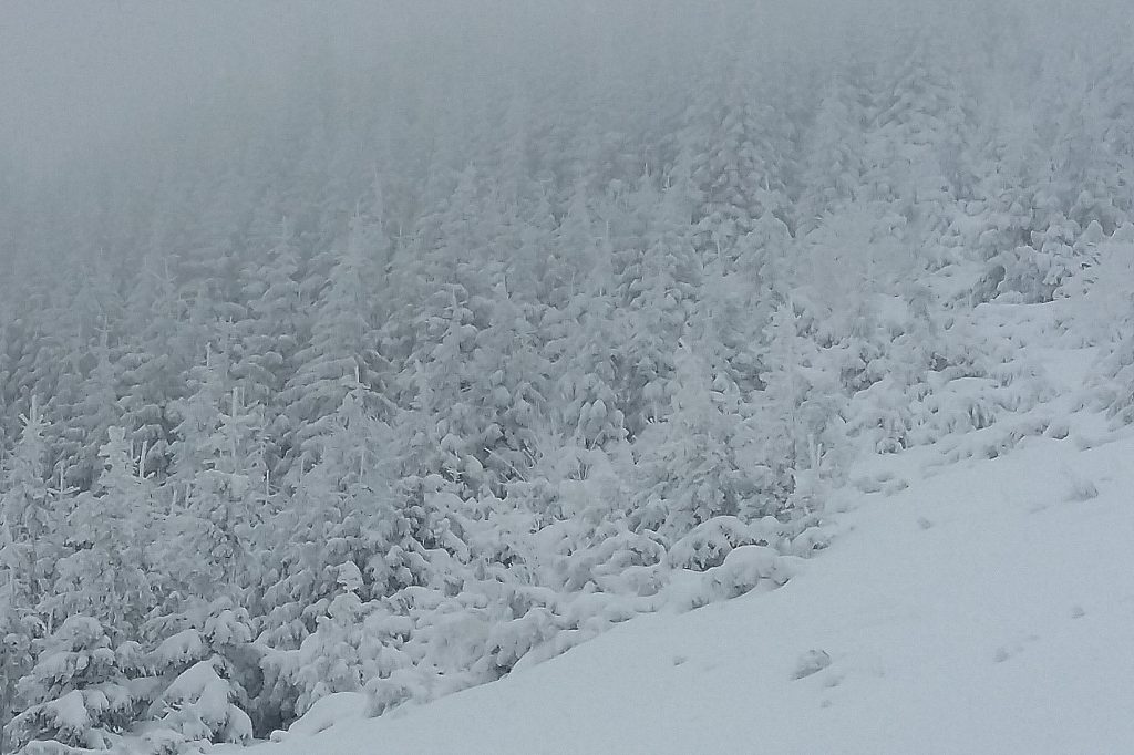 Robi się coraz bardziej biało. Tatry.