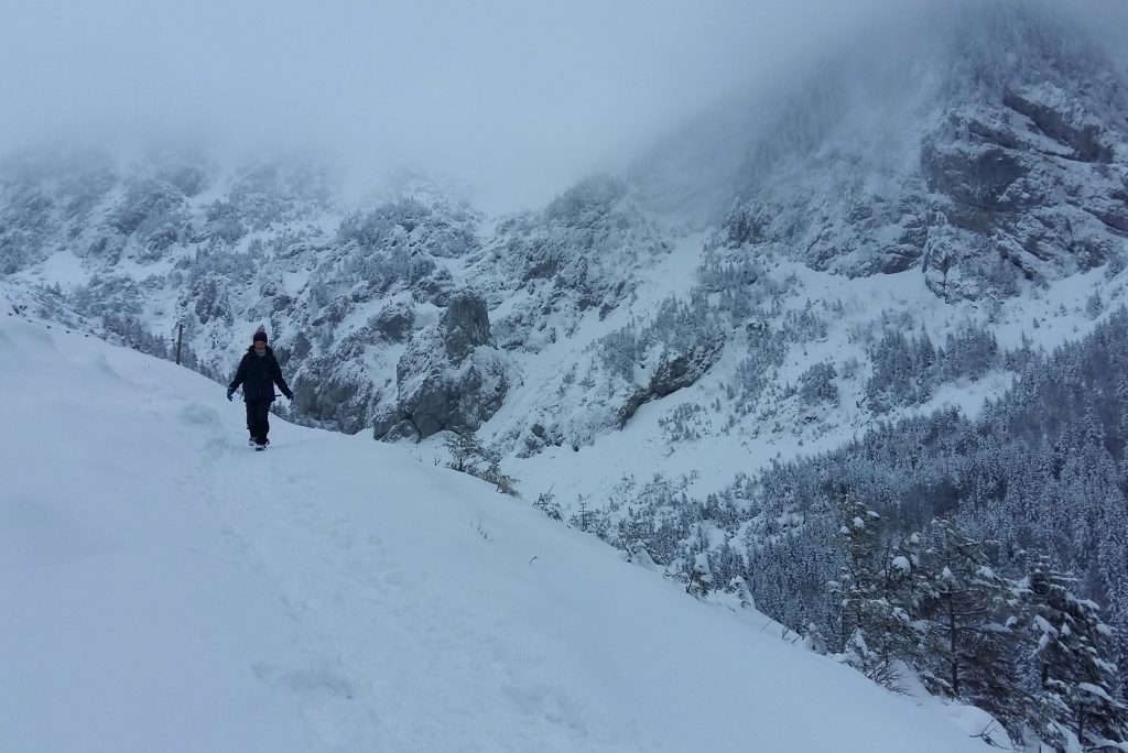 Widoki z Doliny Jaworzynki, Tatry