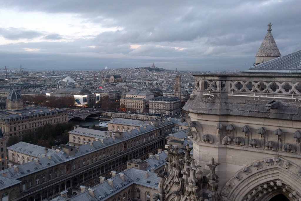 Paryż widok z katedry Notre Dame