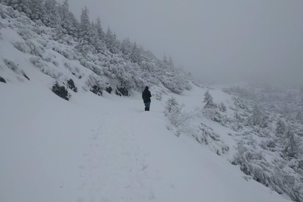 Tatry zimą. Droga na Halę Gąsienicową.