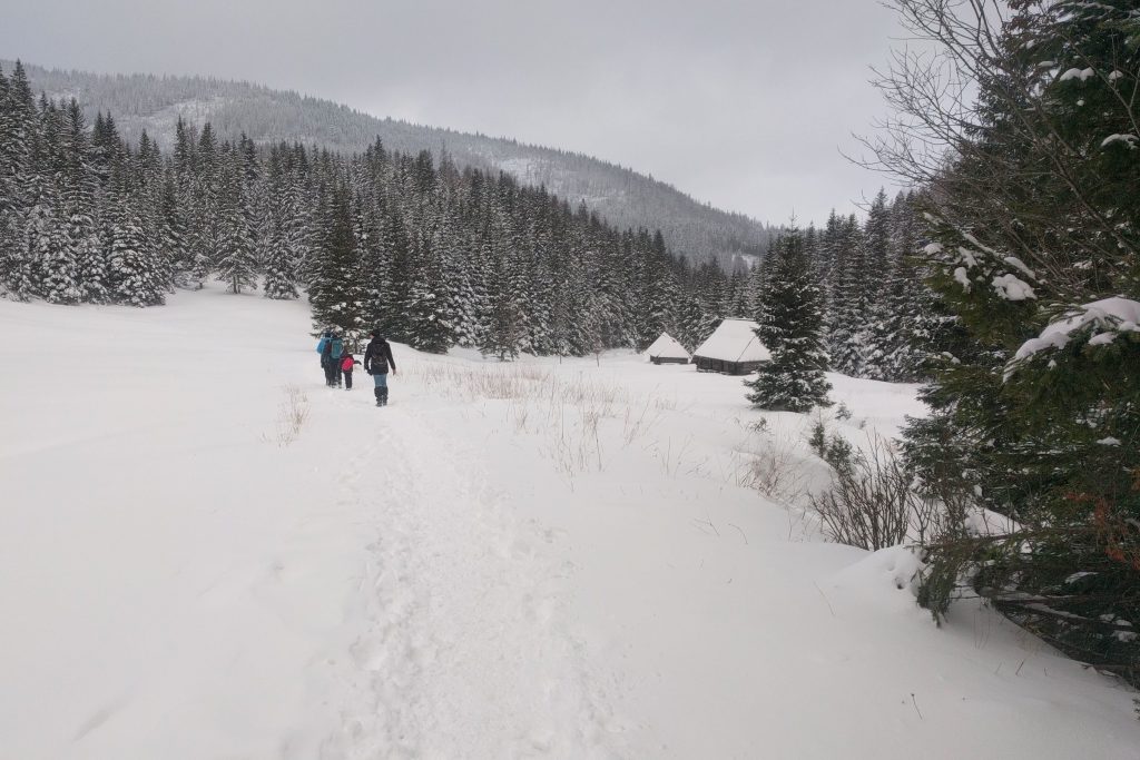 Tatry. Dolina Jaworzynki.