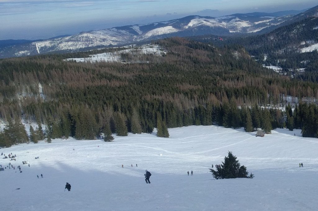 Zjazd na nartach skiturowych z Gęsiej Szyi