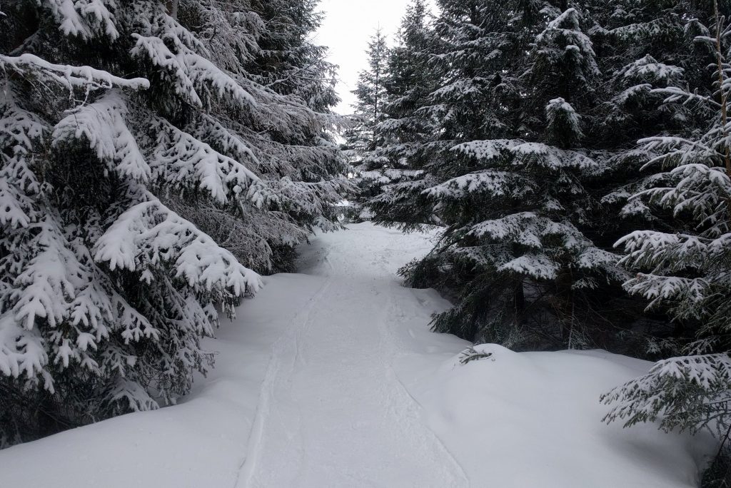 Zjazd na skiturach z Wielkiego Kopieńca do Toporowej Cyrhli.