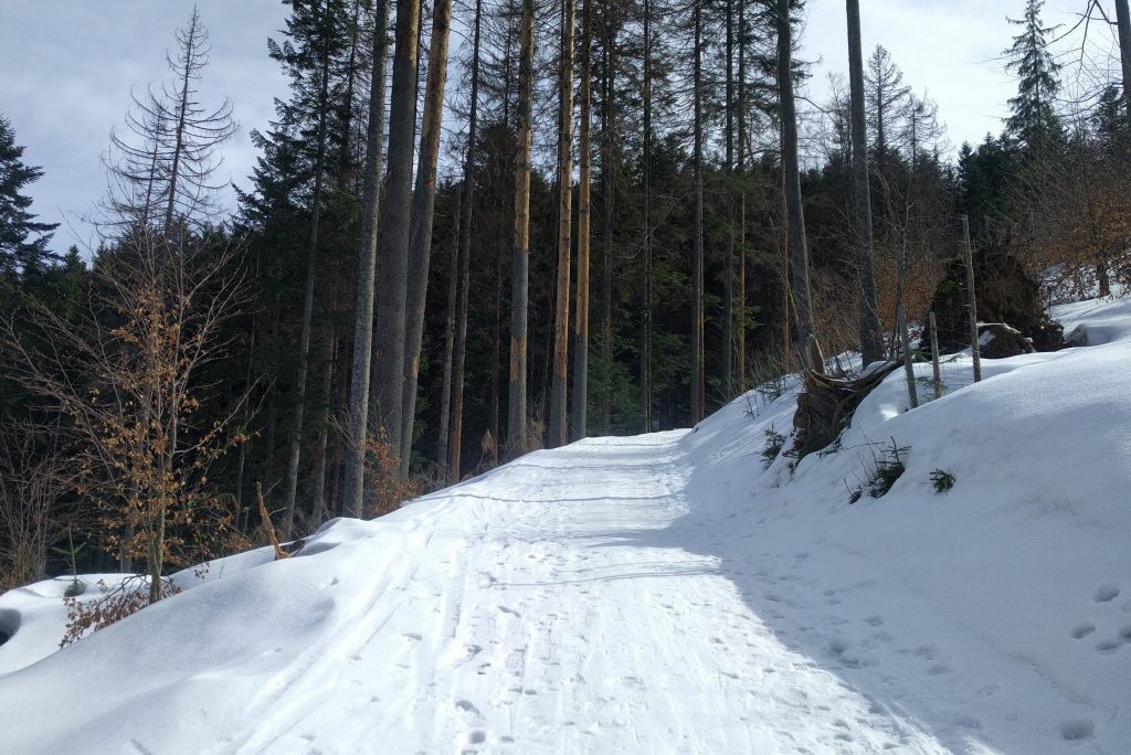 Nartostrada na Nosalową Przełęcz