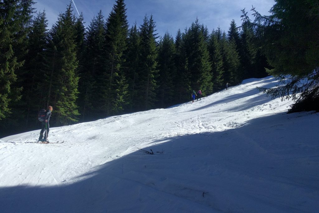 Stromy odcinek nartostrady do Doliny Gąsienicowej