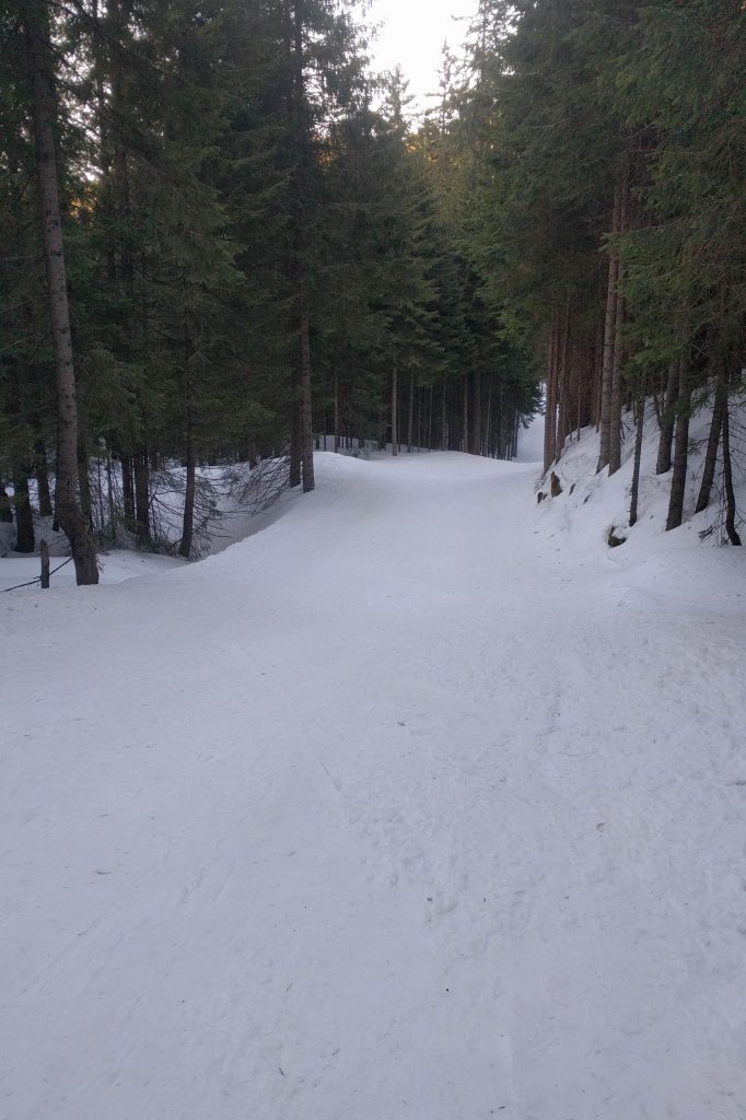 Wygodna nartostrada biegnie Doliną Goryczkową aż do Kuźnic.