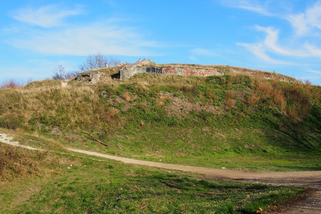 Ruiny zamku Tarnowskich
