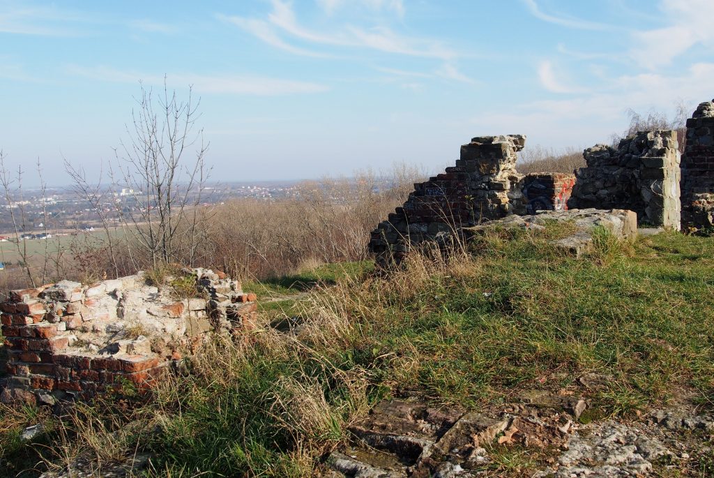 Ruiny zamku Tarnowskich na górze św. Marcina w Tarnowie