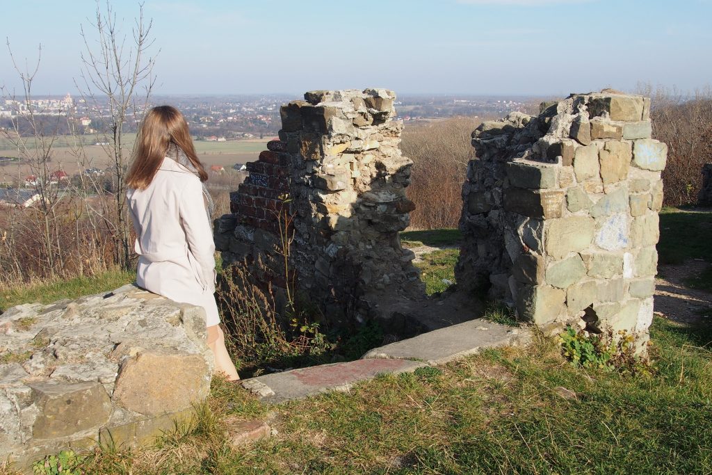 Widok na Tarnów z Góry św. Marcina