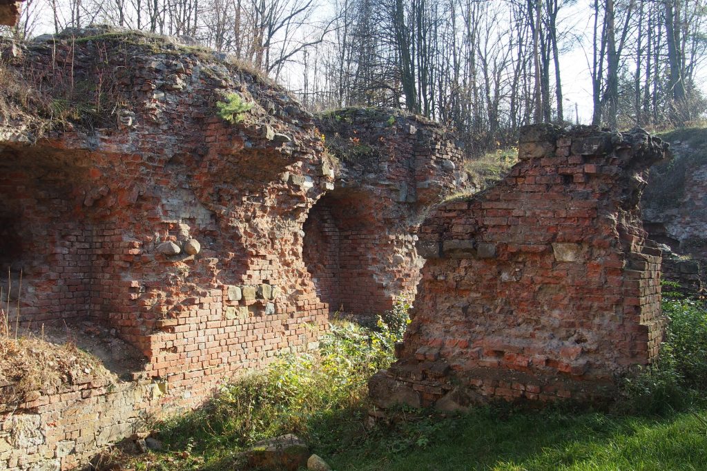 Ruiny XIV-wiecznego zamku Tranowskich na Górze św. Marcina