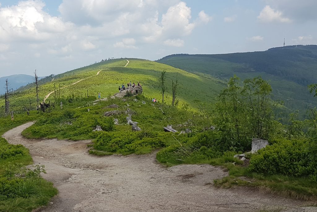 Z Malinowskiej Skały na Skrzyczne.