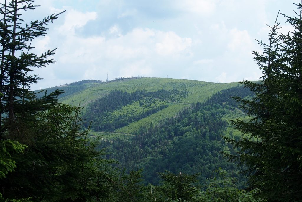 Beskid Śląski. Wędrówka na Skrzyczne. Panorama.