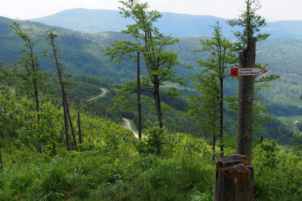 Beskid Śląski. Wędrówka na Skrzyczne. Panorama.