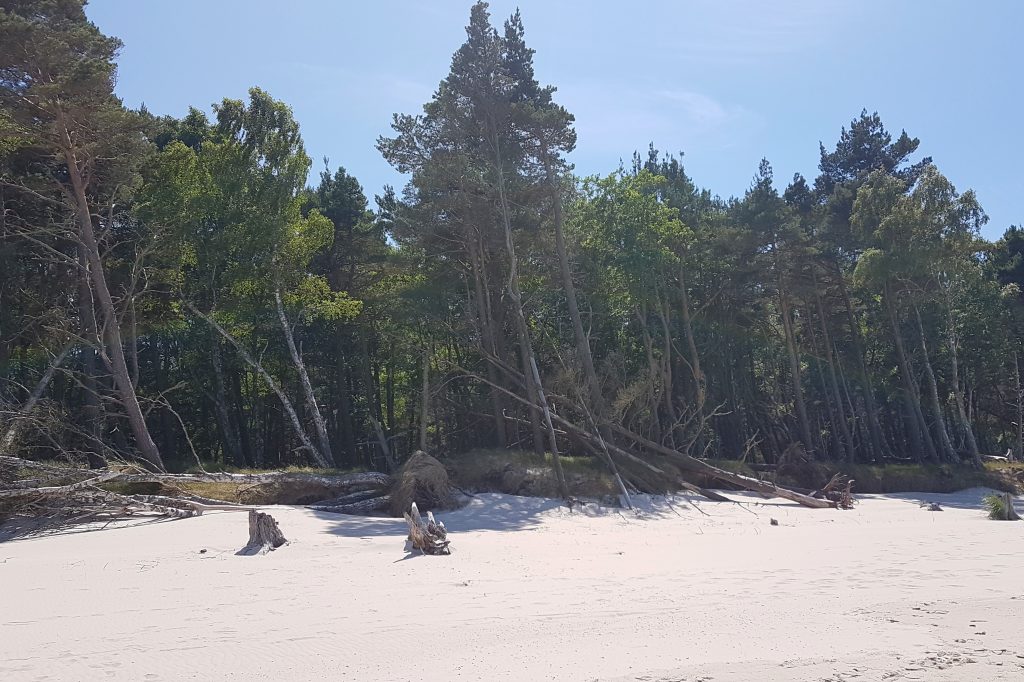 Słowński Park Narodowy- plaża.