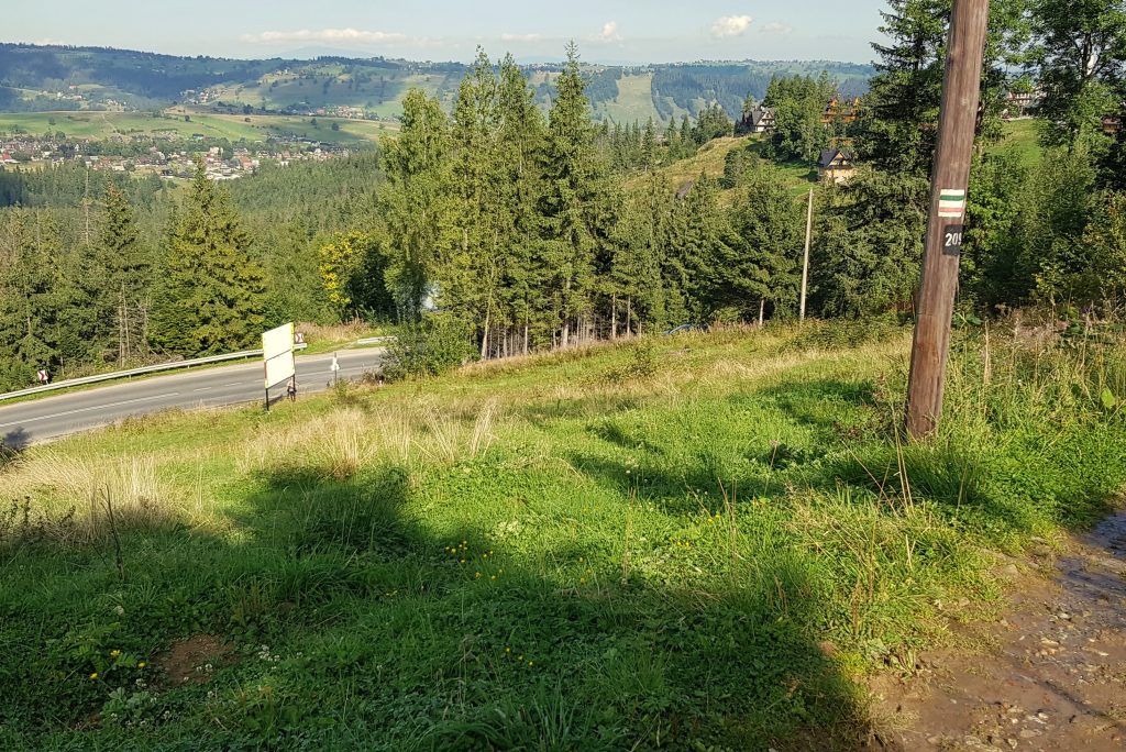 Toporowa Cyrhla- Wielki Kopieniec. Pierwsze wzniesienie za nami.