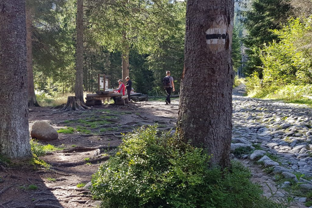 Psia Trawka. Mniej więcej w połowie drogi docieramy do charakterystycznego miejsca zwanego Psią Trawką.