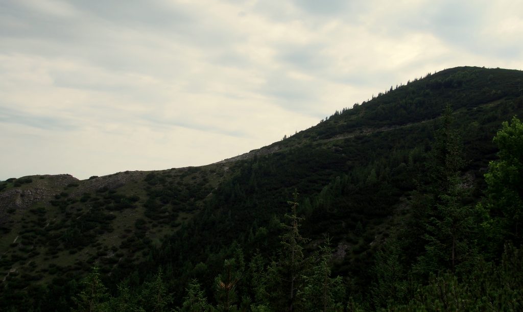 Dolina Jaworzynki- po drodze możemy obserwować niebieski szlak przez Boczań i zazdrościć zdobytej wysokości turystom, którzy go wybrali.
