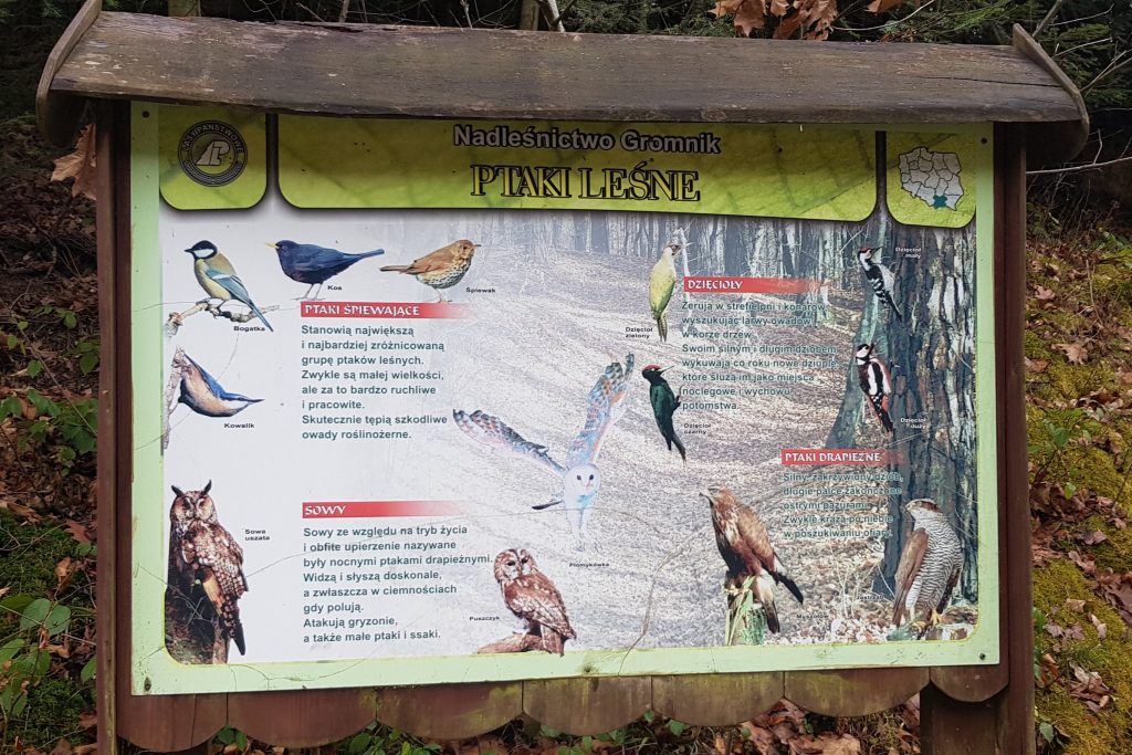 tablica ptaki ścieżka edukacyjna w Lesie Tuchowskim