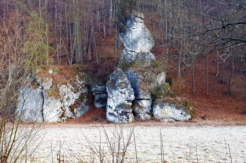 Przy głównej drpdze Ojcowskiego Parku Narodowego.