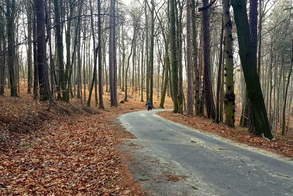 Droga do zamku w Pieskowej Skale