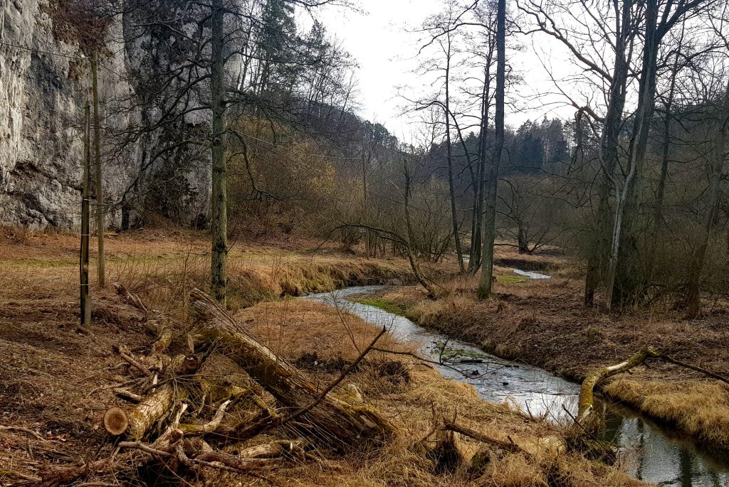 Maszerujemy Doliną Prądnika