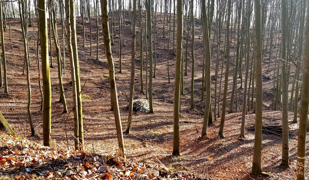 Ostra Góra w Tabaszowej