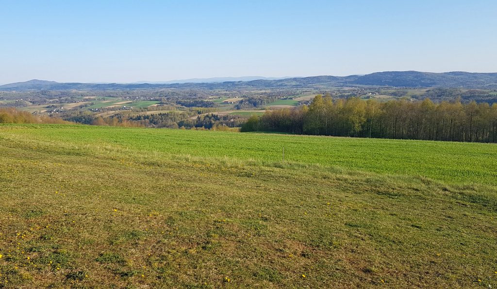 Wiosna na Pogórzu Ciężkowickim. Kokocz.