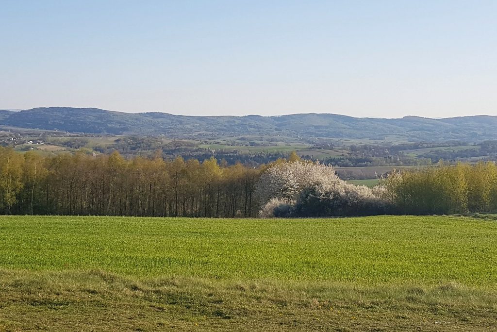 Rozległa panorama z góry Kokocz na Pogórzu Ciężkowickim.