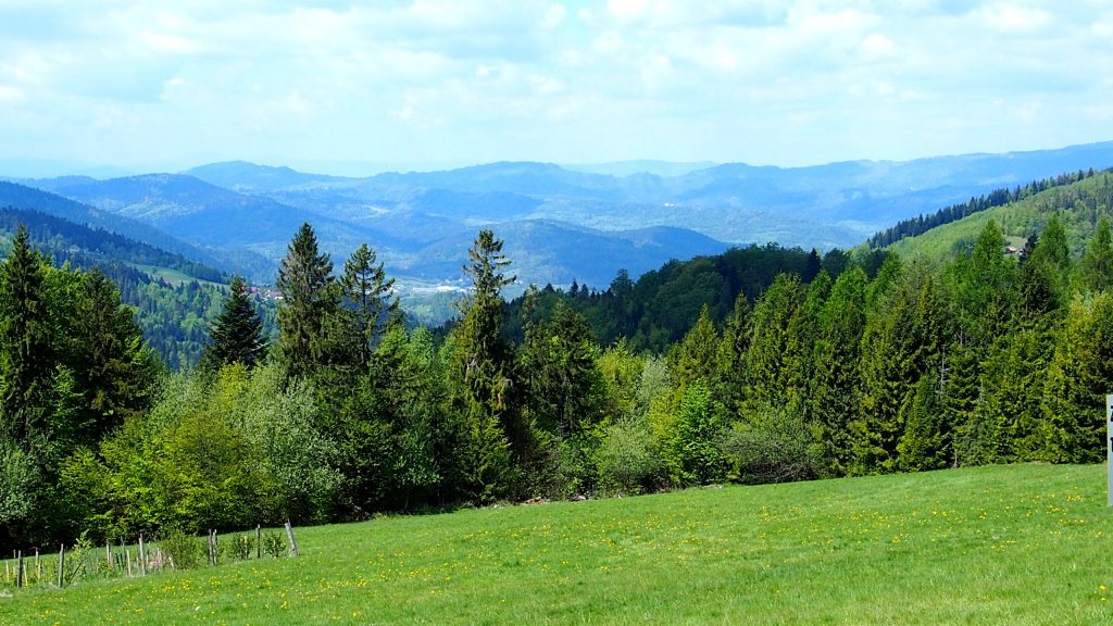 Hala Boracza panorama z drogi