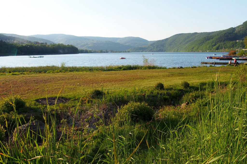 Jezioro Międzybrodzkie- plaża