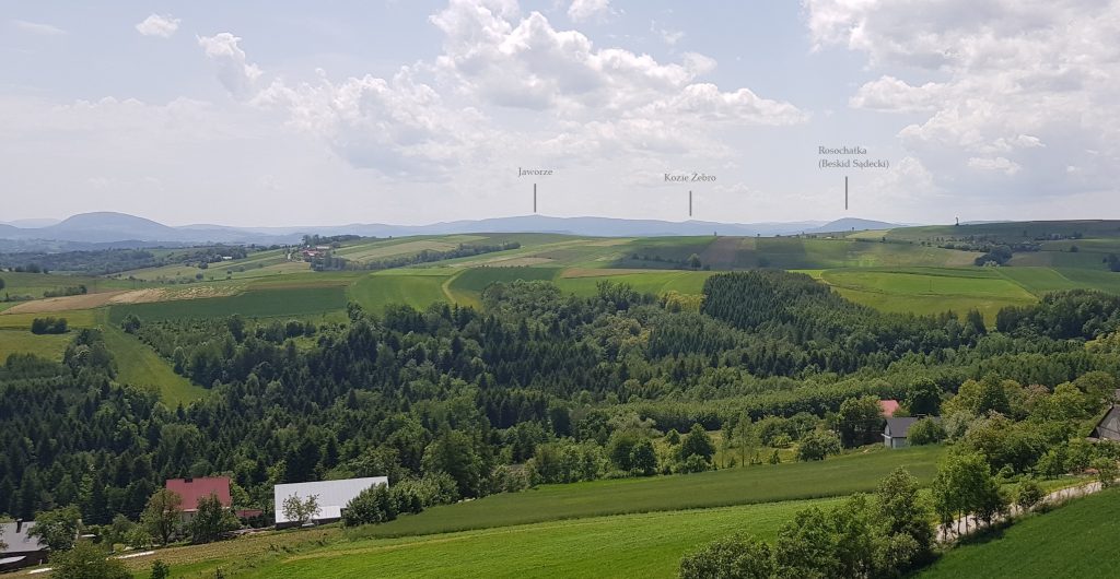 Widoki z wieży w Bruśniku- Beskid Niski i Sądecki