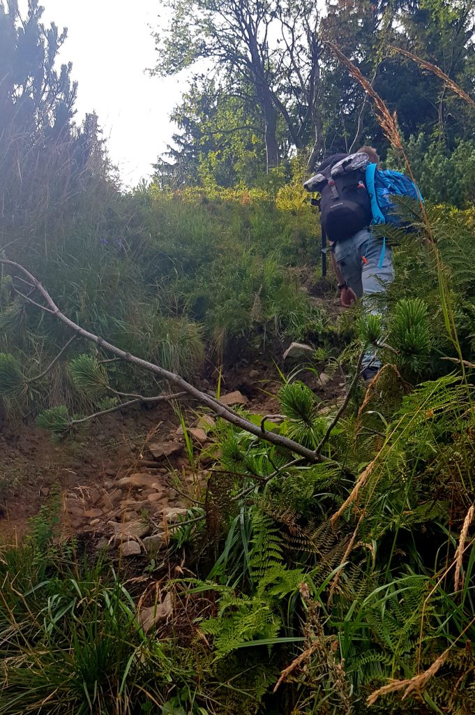 Stromy fragment podejścia na Pilsko szlakiem granicznym- tutaj trzeba uważać.