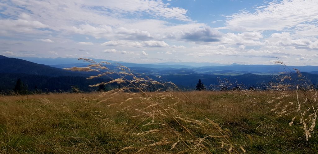 Rysianka- widok spod schroniska