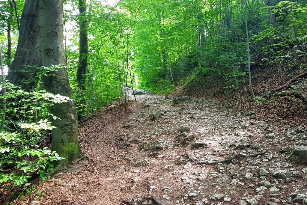 Z dzieckiem w chuście i wózku przez Ojcowski Park Narodowy