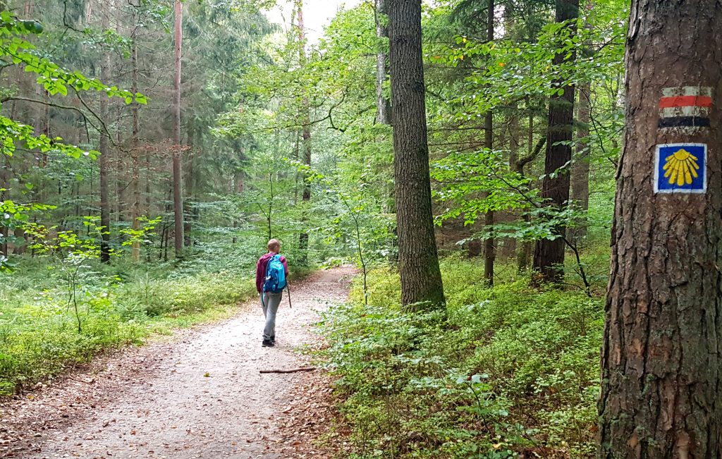 Spacer na górę Chełmską koło Koszalina