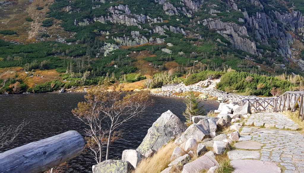 Z widokiem na Mały Staw- Karkonosze