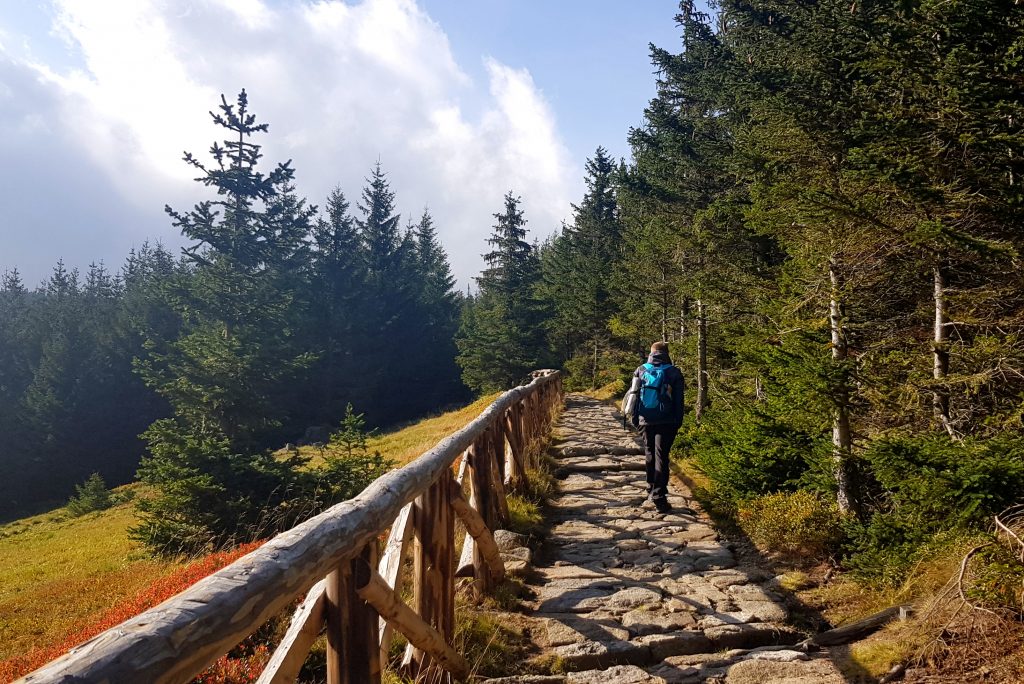 Ścieżka w Karkonoszach