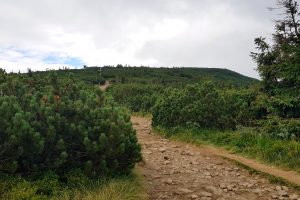 zejście z Pilska na Halę Miziową