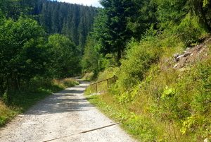 Z dzieckiem przez Beskid Żywiecki