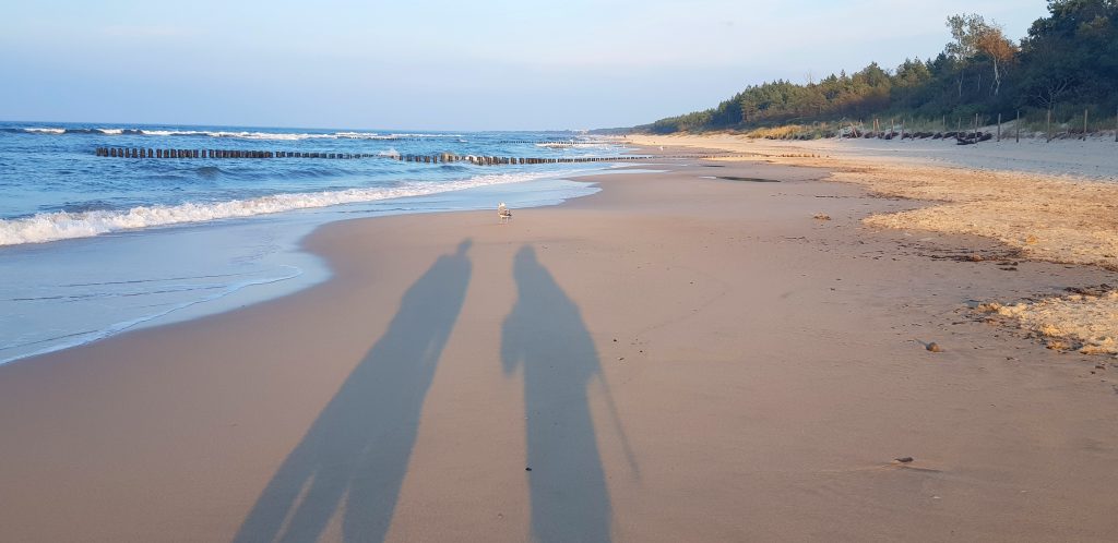 Nadbałtycka plaża po sezonie