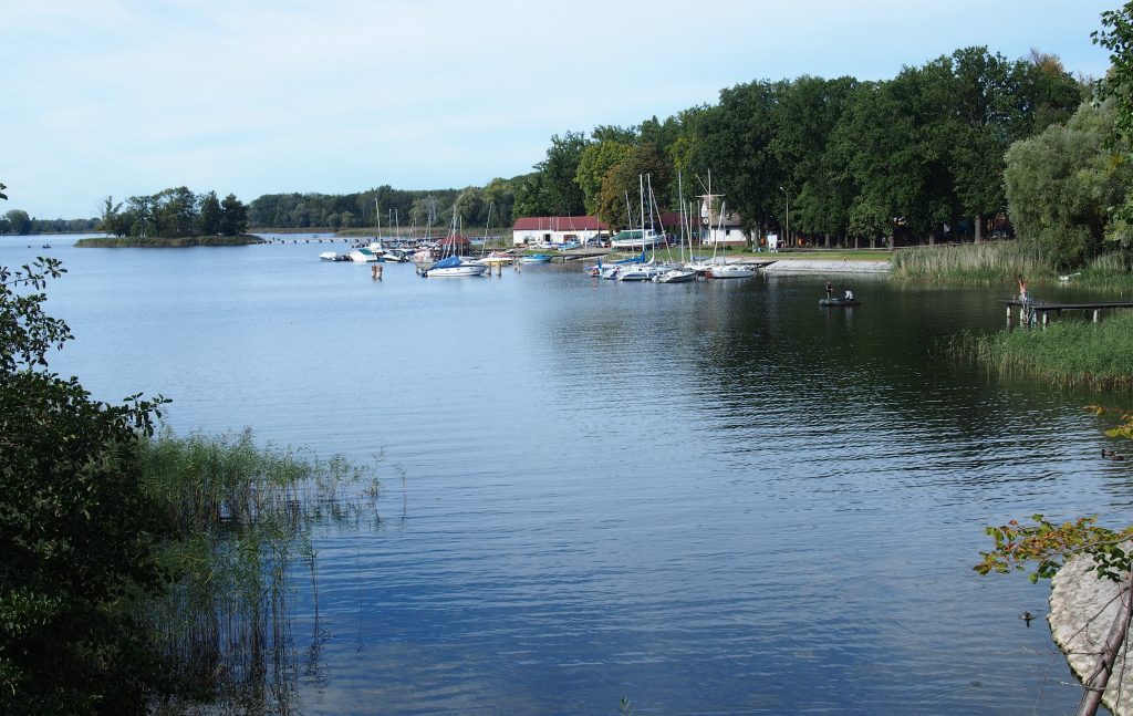 Jezioro Myśliborskie