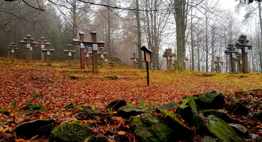 Blechnarka cmentarz wojenny nr 49, droga przez las