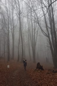 Wędrówka z dzieckiem w nosidle. Magiczny las Beskidu Niskiego.